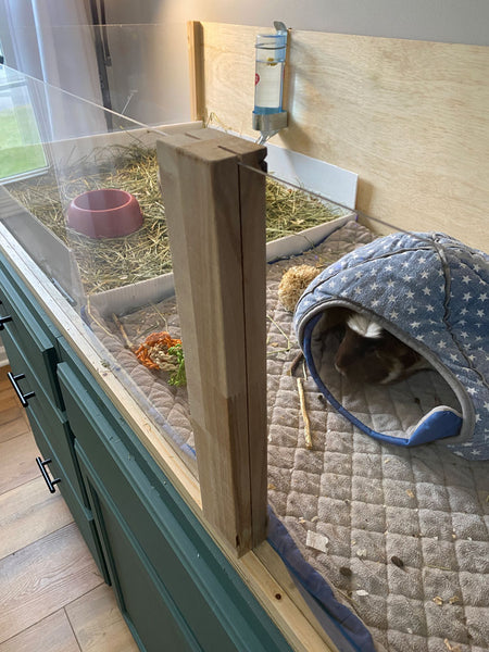 Building the Perfect DIY Guinea Pig Cage A Comprehensive Guide