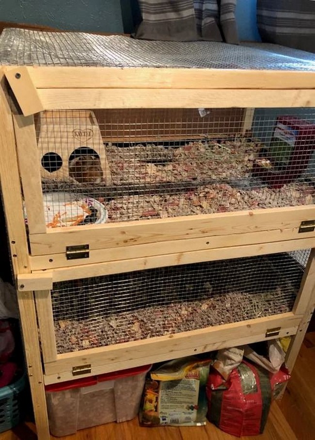 Building the Perfect DIY Guinea Pig Cage A Comprehensive Guide