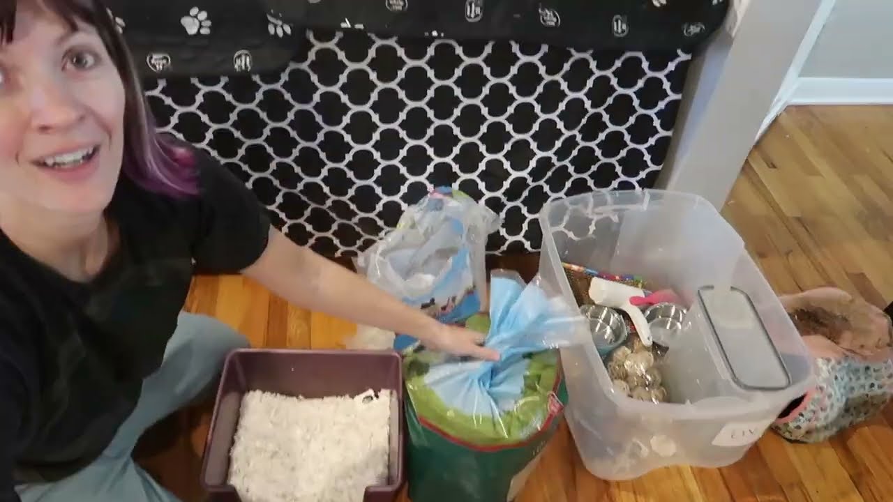 Cleaning Your Guinea Pig Cage