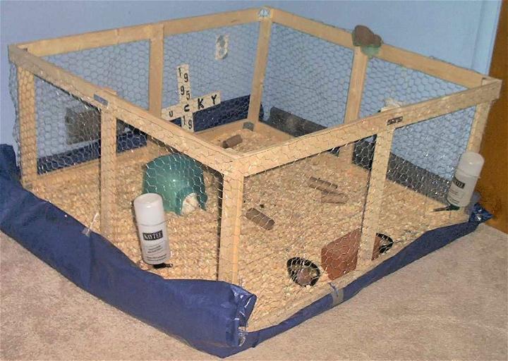 Building the Perfect DIY Guinea Pig Cage A Comprehensive Guide