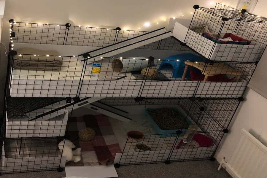 Guinea Pig Cage Ideas Designing a Spacious, Comfortable, and Fun Home for Your Cavy