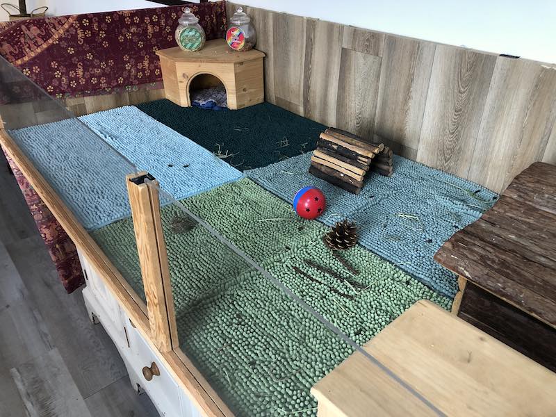 Guinea Pig Cage Setup A Comprehensive Guide