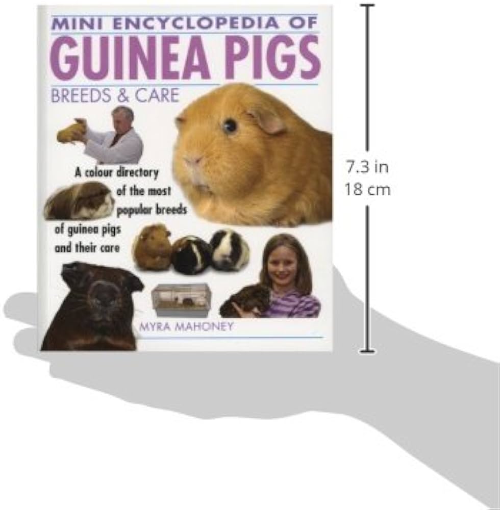 Popular Guinea Pig Breeds A Comprehensive Guide