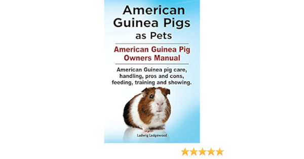 The American Guinea Pig A Delightful Companion for Over a Century